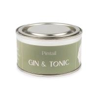 Pintail Candles Gin & Tonic Paint Pot Candle Extra Image 1 Preview